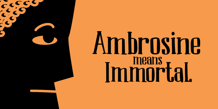 Ambrosine Font Family插图1