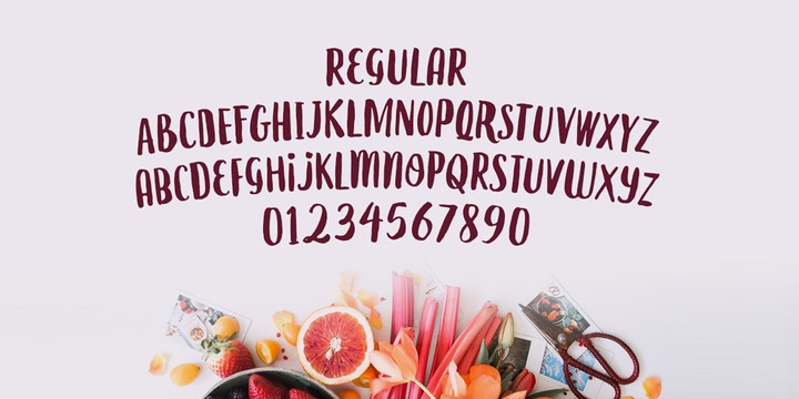 Le Gourmet Font Family插图1
