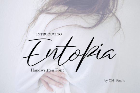 Entopia Font插图