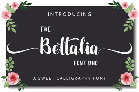 Bettalia font16素材网精选英文字体