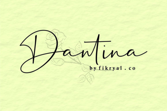 Dantina Font16设计网精选英文字体