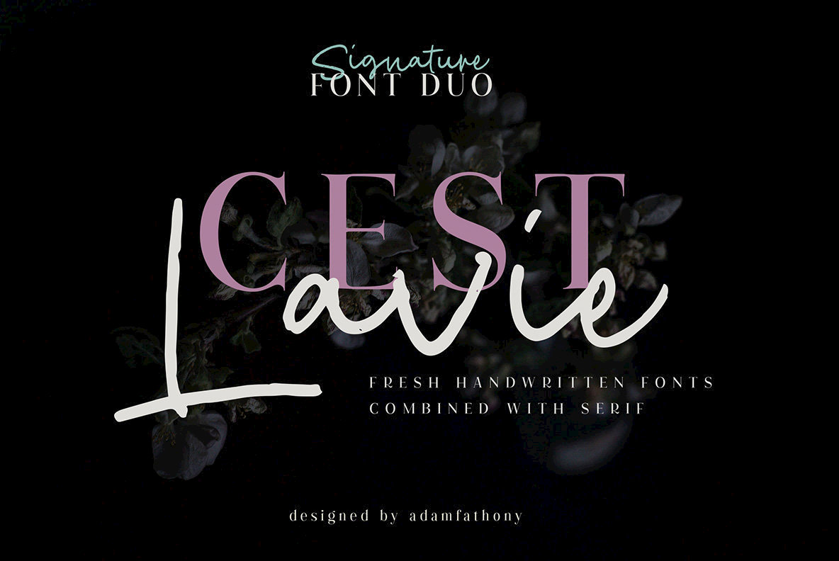 Cest Lavie Font Duo16图库网精选英文字体