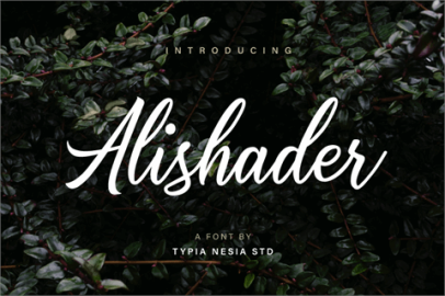 Alishader Demo font16素材网精选英文字体