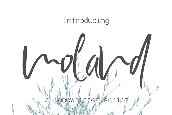 Moland Font16设计网精选英文字体