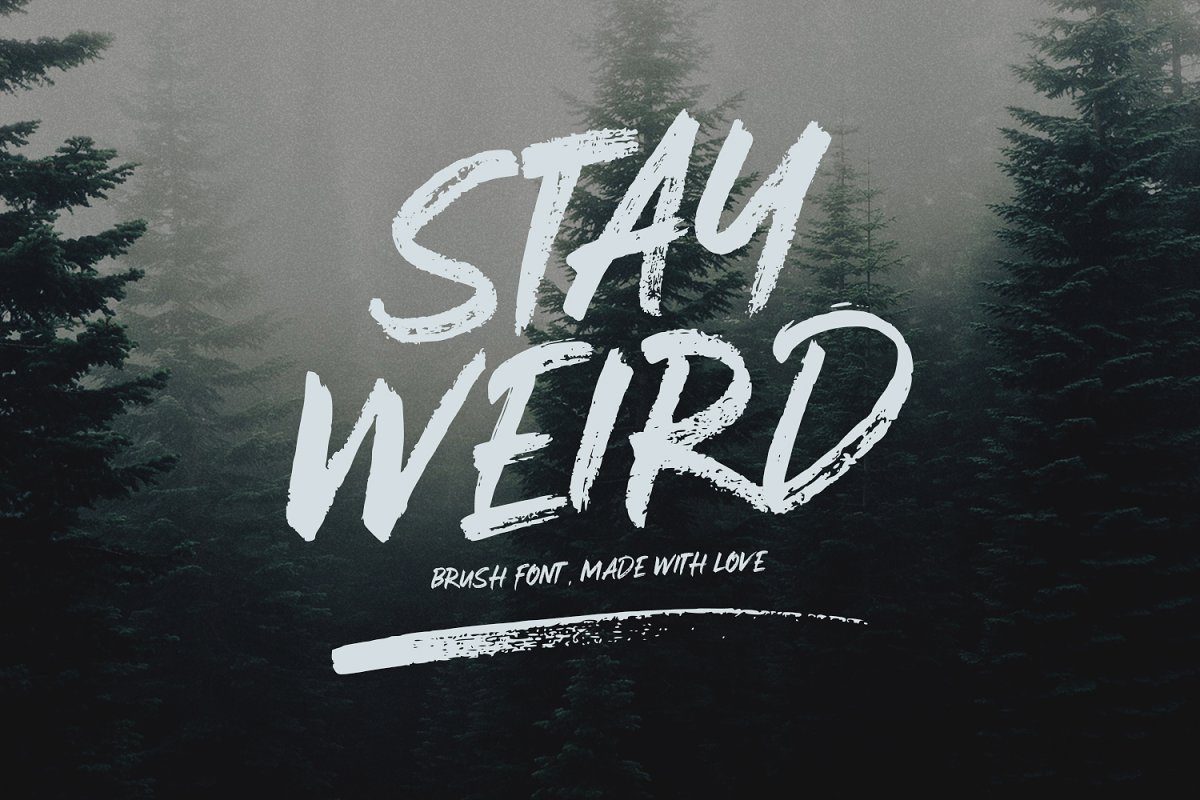 Stay Weird – Brush Font + Swashes16图库网精选英文字体