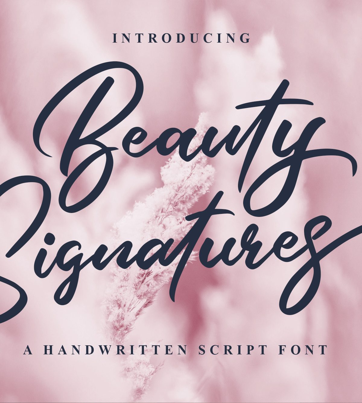Beauty Signatures素材中国精选英文字体