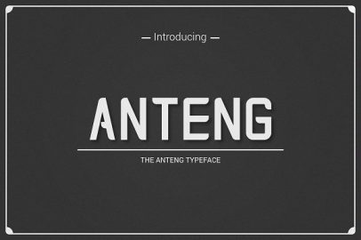 Anteng | Dual Width Font素材中国精选英文字体