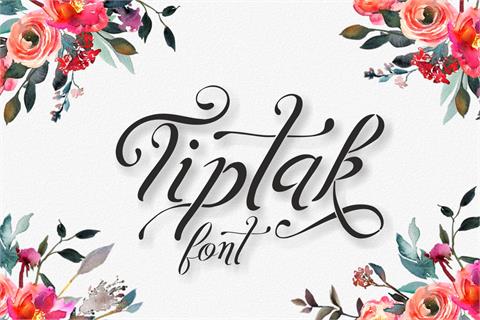 Tiptak font16设计网精选英文字体
