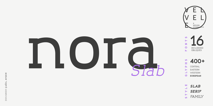 Nora Slab Font Family16设计网精选英文字体