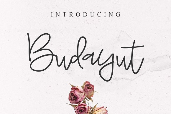 Budayut Signature Font16设计网精选英文字体