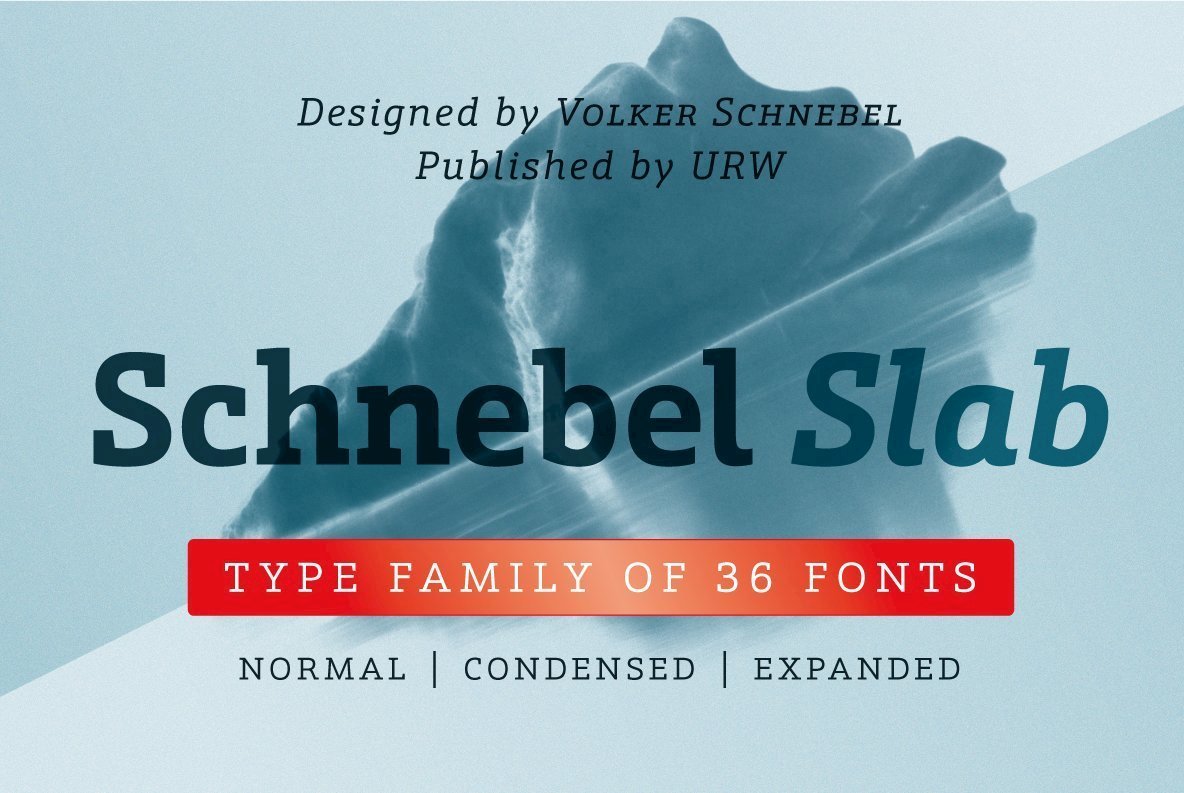 Schnebel Slab Font Family16设计