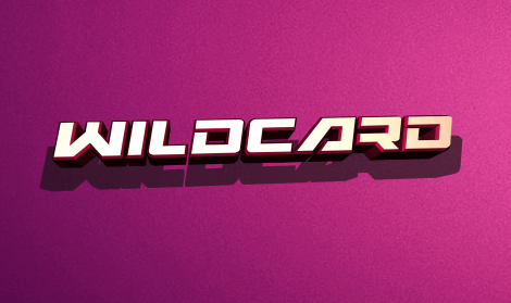 Wildcard font16素材网精选英文字体