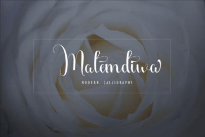 Malemdiwa Font16设计网精选英文字