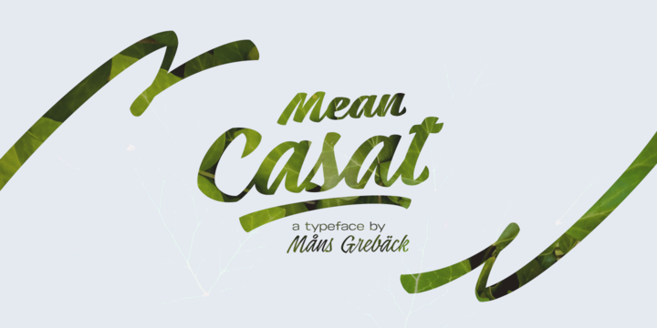 Mean Casat Font Family16设计网精选英文字体