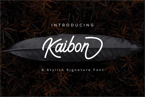 Kaibon font素材中国精选英文字体