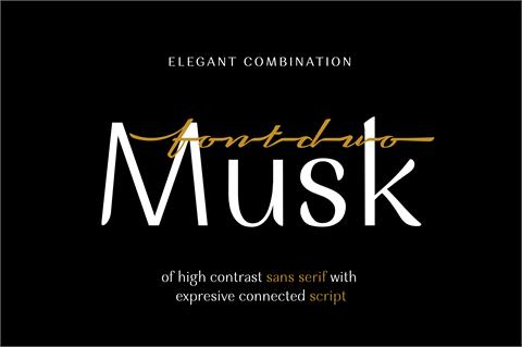 Musk font16设计网精选英文字体