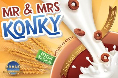 Mr & Mrs Konky16设计网精选英文字体