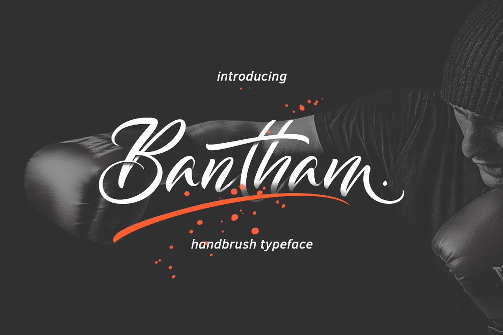 Bantham Typeface素材中国精选英文字体