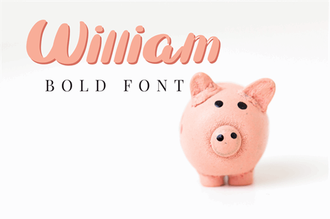 William font16设计网精选英文字体