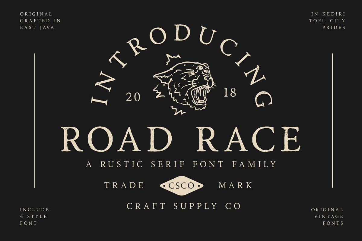 Road Race Extra Font Family16设计网精选英文字体