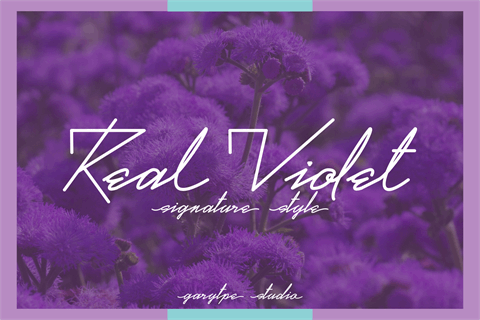 Real Violet Demo font素材中国精