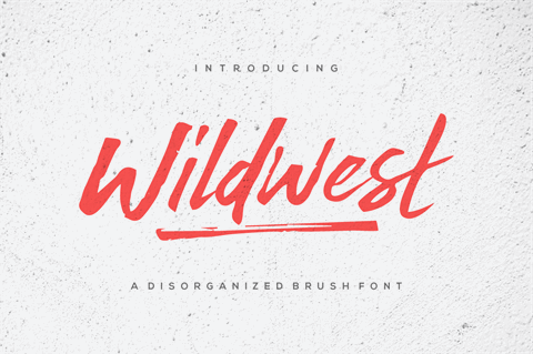 Wildwest font素材天下精选英文字体