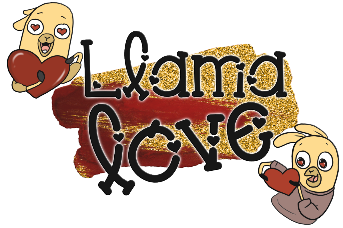 Llama Love FontRegular Font16设计网精选英文字体