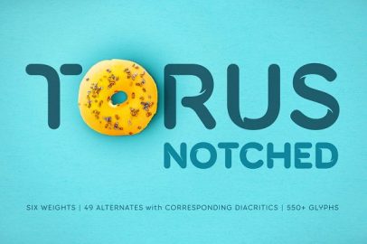 Torus Notched – 6 Dynamic Fonts16设计网精选英文字体