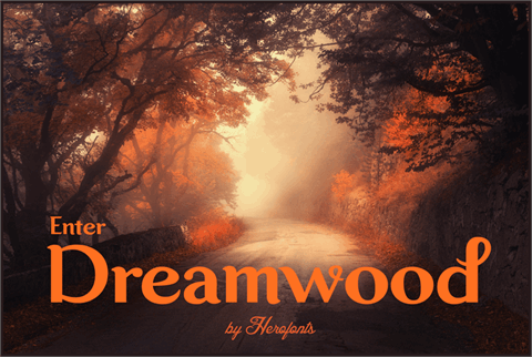 Dreamwood DEMO font普贤居精选英文字体