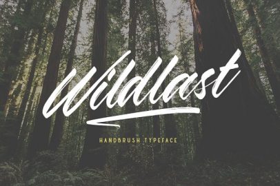 Wildlast Handbrush Typeface16设计网精选英文字体