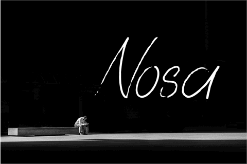 Nosa font16设计网精选英文字体