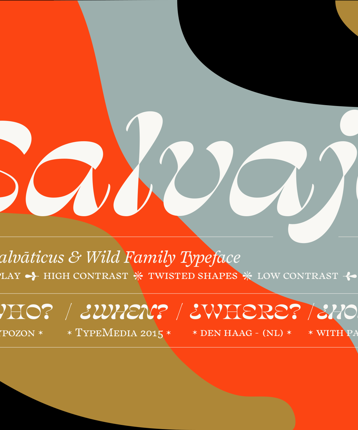 Salvaje Display Font Family16素材网精选英文字体