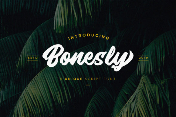 Bonesly Font16设计网精选英文字体