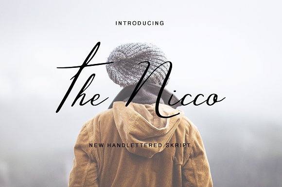The Nicco16设计网精选英文字体