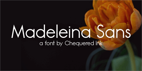 Madeleina Sans font16设计网精选英文字体