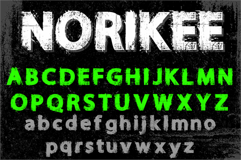 NORIKEE DEMO font素材天下精选英文字体