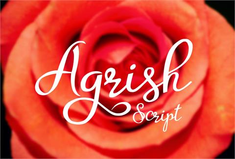 Agrish font16设计网精选英文字体
