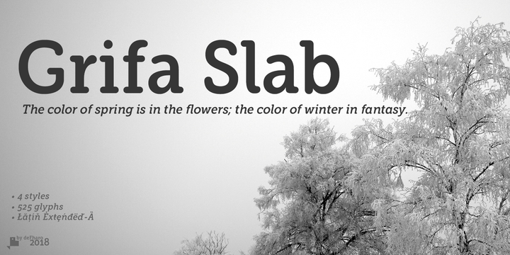 Grifa Slab Font Family16设计网精选英文字体