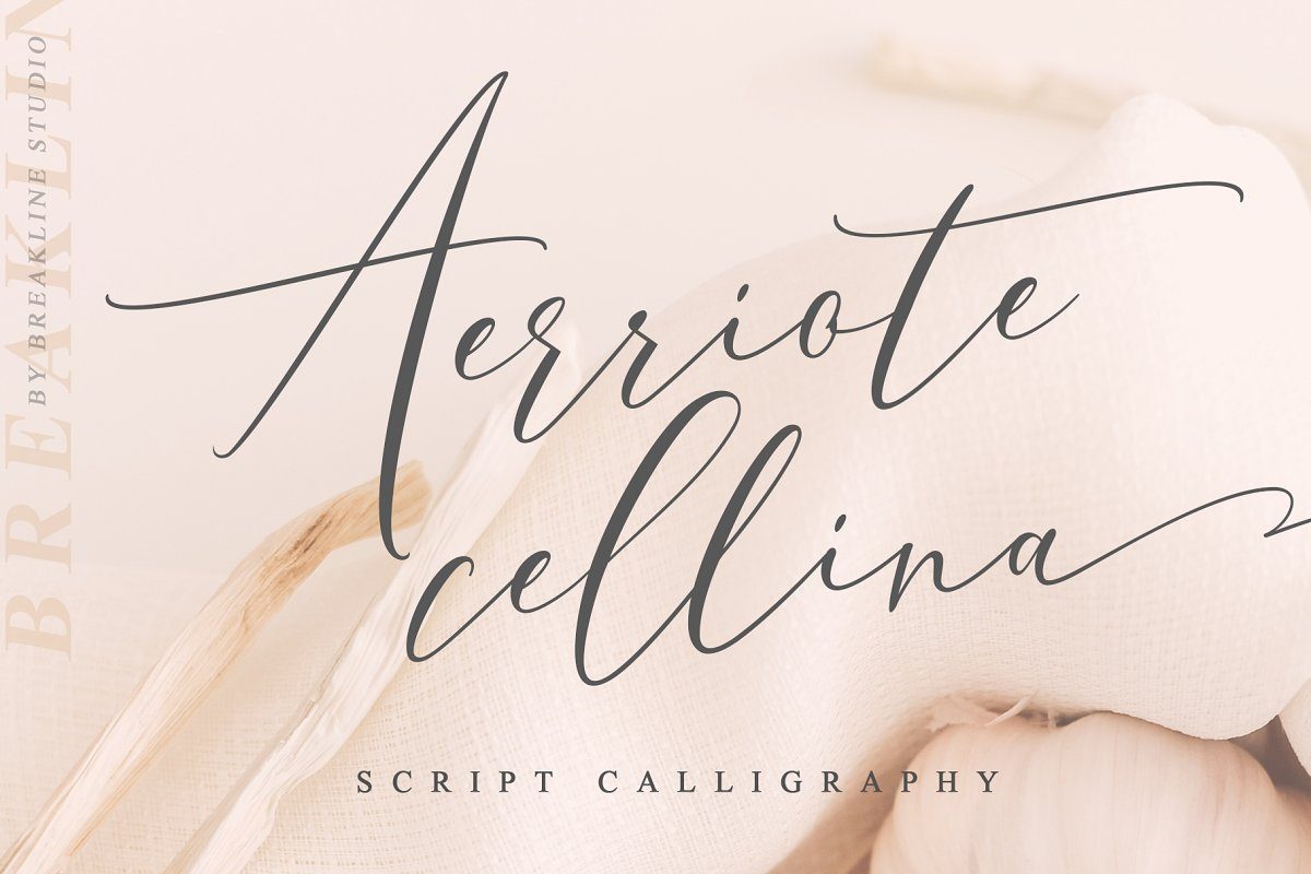 Aerriote Cellina Font16设计网精
