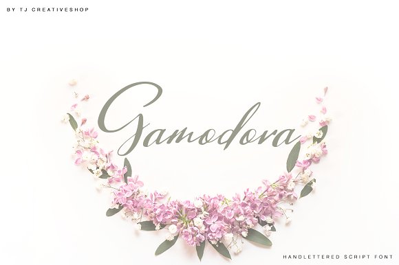 Gamodora Font素材中国精选英文字体
