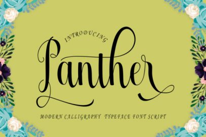 Panther Typeface16设计网精选英文字体