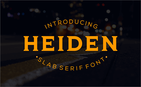 HEIDEN font16设计网精选英文字体