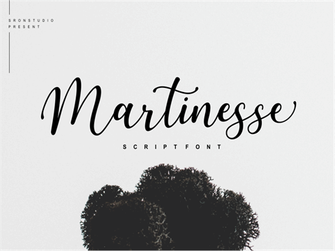 Martinesse font16设计网精选英文字体