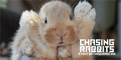 Chasing Rabbits font素材中国精选
