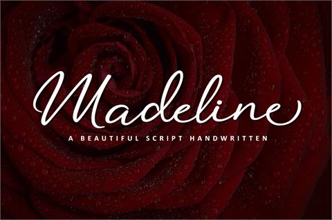 Madeline font16设计网精选英文字体