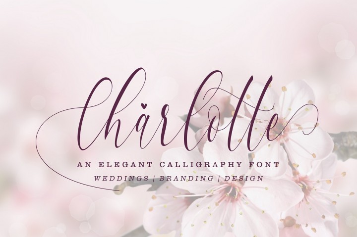 Charlotte Calligraphy16素材网精选英文字体