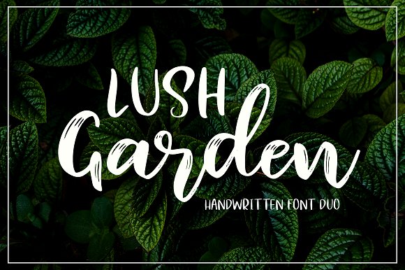 Lush Garden Font素材中国精选英文字体