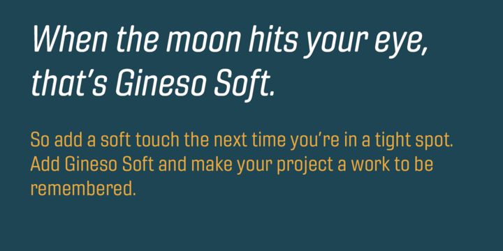 Gineso Soft Font Family16设计网精选英文字体