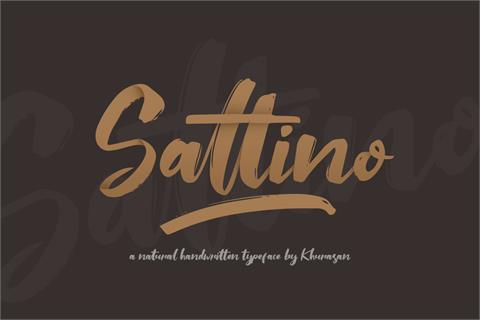 Saltino font16设计网精选英文字体