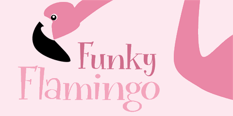 Funky Flamingo DEMO font普贤居精选英文字体
